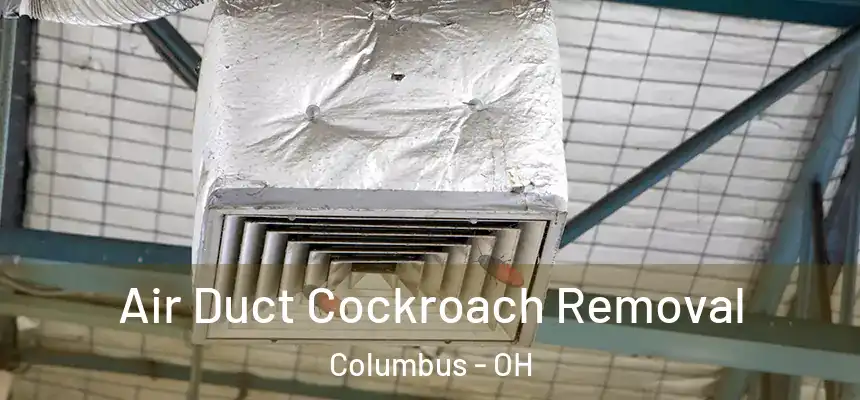  Air Duct Cockroach Removal Columbus - OH