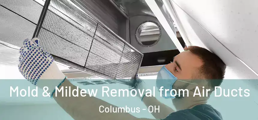  Mold & Mildew Removal from Air Ducts Columbus - OH
