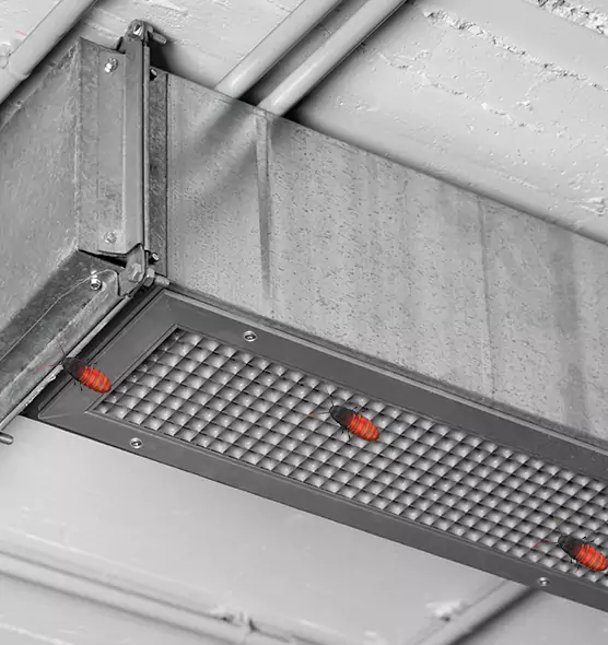 About Air Duct Cockroach Removal in Columbus, OH