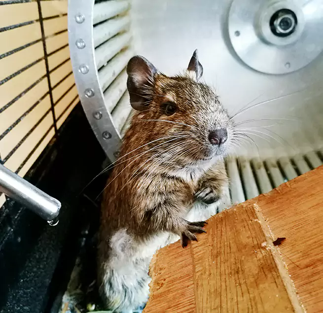 Why Homeowners & Businesses Trust Us Columbus, OH