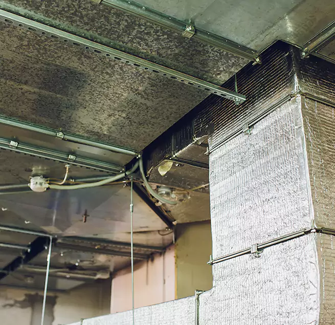 Why Homeowners & Businesses Trust Us in Columbus, OH?